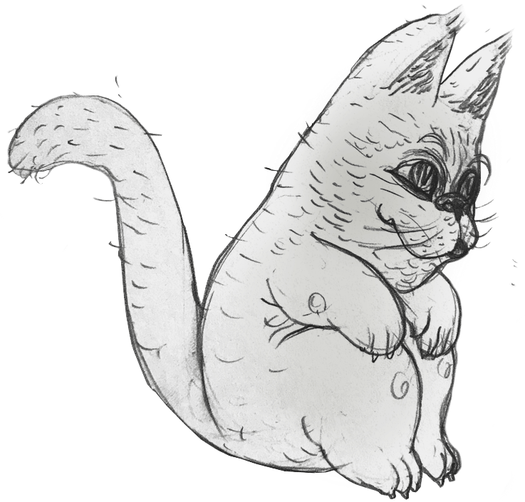 frenchie kitty