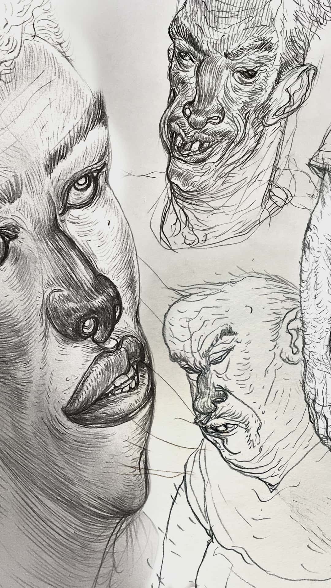 sketch