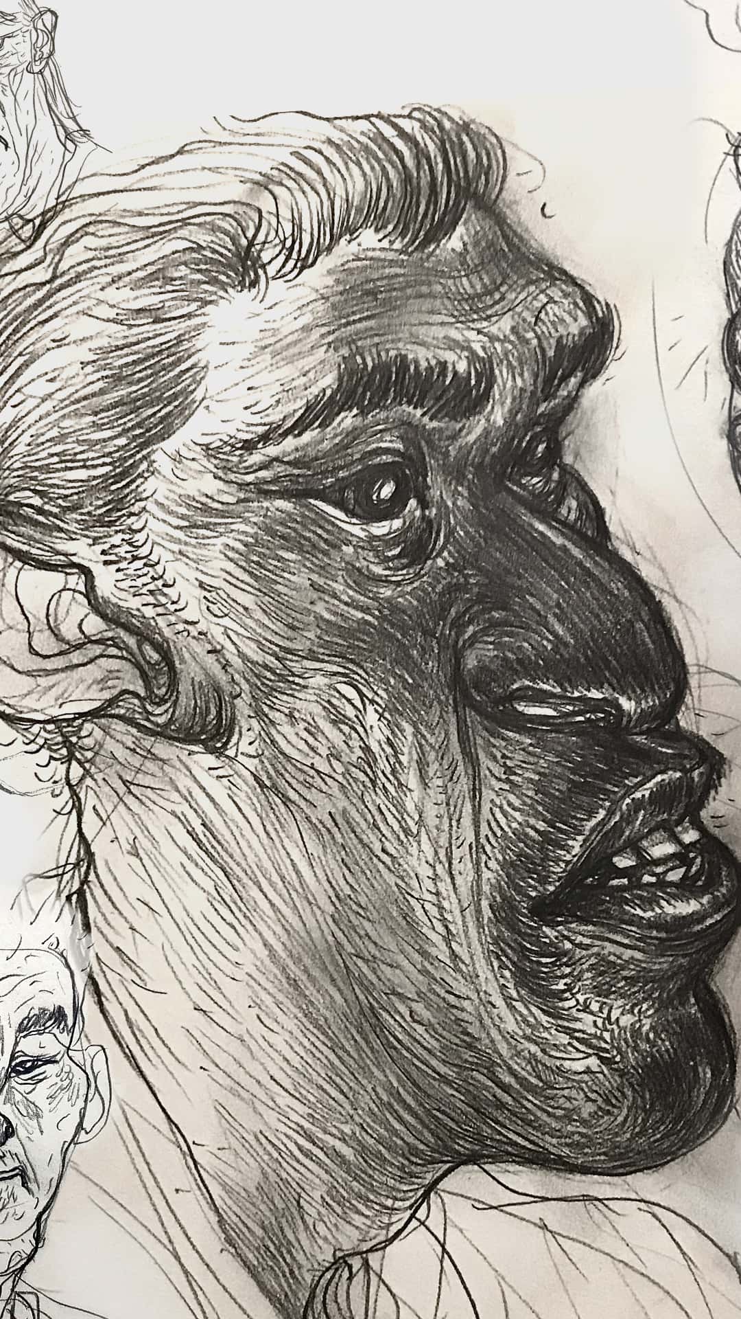 sketch